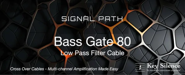 SIGNAL PATH - BASS GATE 80 - Image 2