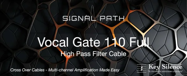 SIGNAL PATH - VOCAL GATE 110 - Image 2
